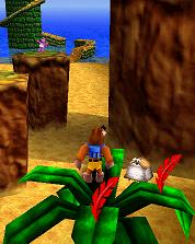 Soluce de Banjo & Kazooie sur nintendo 64 (n64) : Niveau 1 - Mumbo's Mountain, la montagne Mumbo