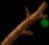 Zelda Ocarina Of Time : Items, music, bags, medallions, stones, ...