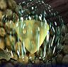 Zelda Ocarina Of Time : Items, music, bags, medallions, stones, ...