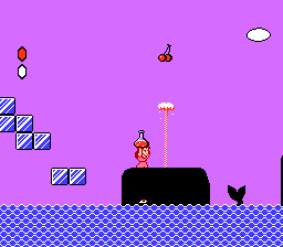 Super Mario Bros 2 sur nes : Trucs et astuces