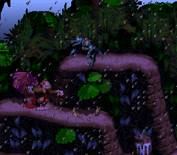 Le test de Donkey Kong Country sur Super Nes