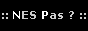 Nes Pas